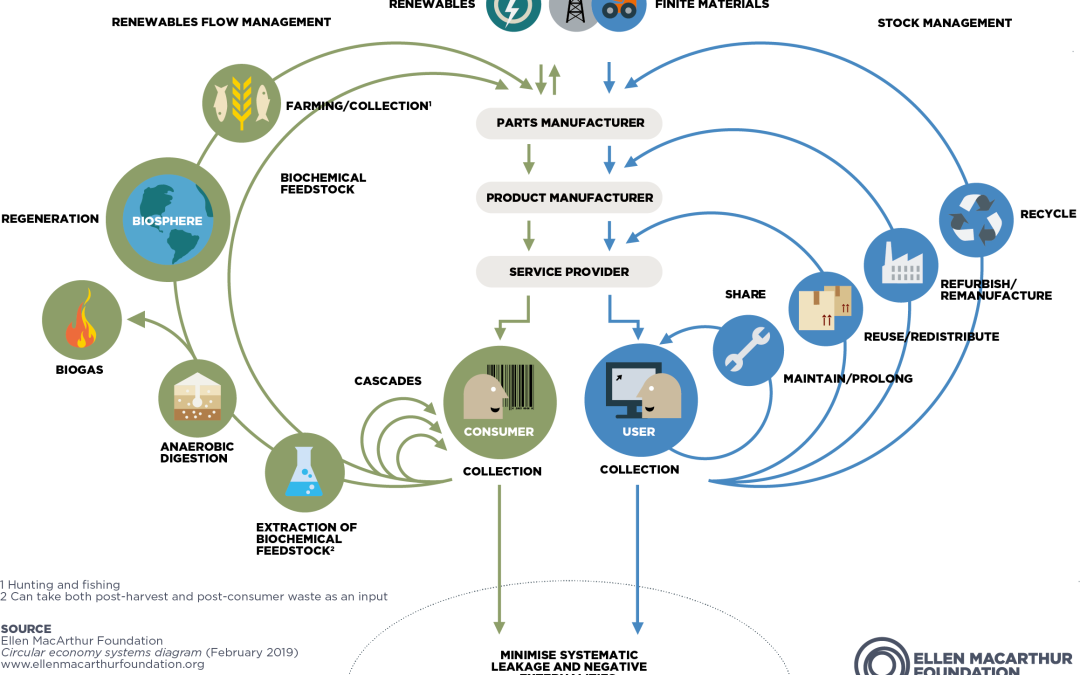 circular economy butterfly diagram